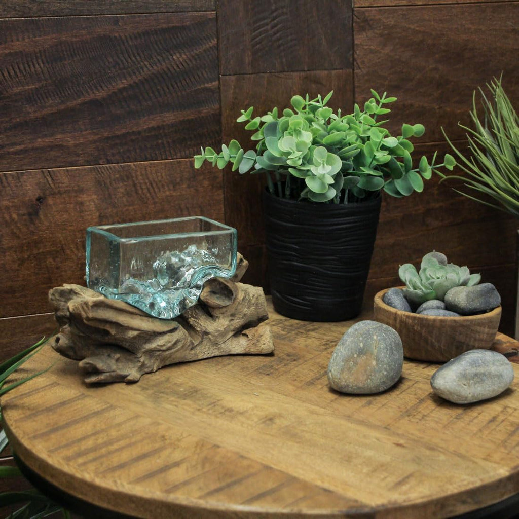 Glass Driftwood Decorative Bowl Vase Terrarium Planter Y130