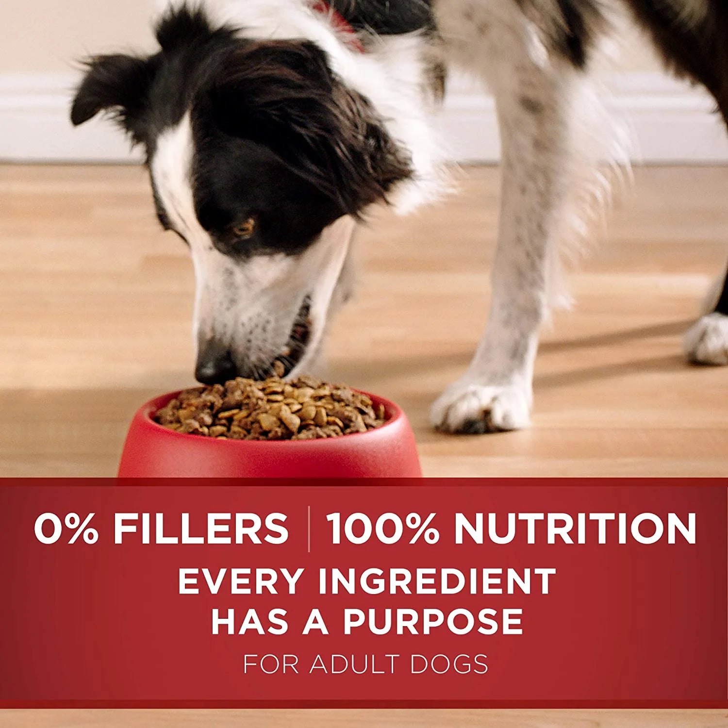 Natural Dry Dog Food, Lamb & Rice Formula E1254