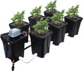 RDWC Hydroponics Grow System 6 Site + Reservoir, 7-Gallon Top Drip Recirculating Deep Water Culture Hydroponic Bucket System, Hydroponics Growing System Kit with Water Pump, Air Pump