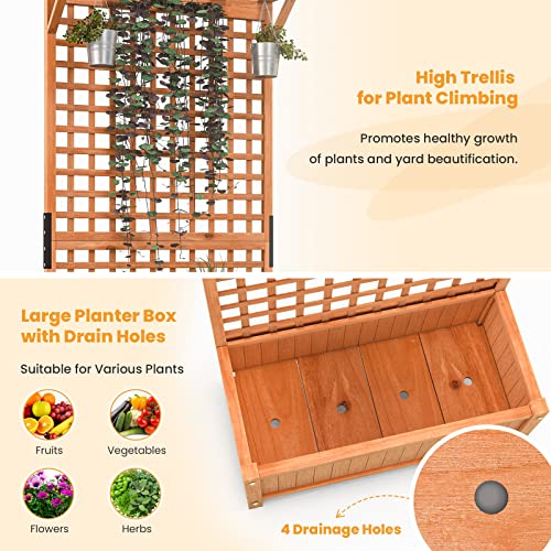 Raised Garden Bed with Trellis & Roof, Wooden Planter Box for Outdoor C209623