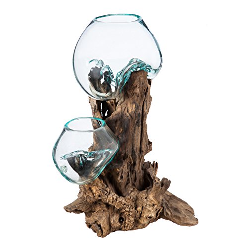 Cape Craftsmen Hand-Blown Blue Tinted Bubble Glass On Natural Teak Driftwood Terrarium | Home Décor Indoor Planter with Stand | Pot for Succulent and Plants | Small 7-Inches Tall