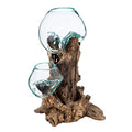 Cape Craftsmen Hand-Blown Blue Tinted Bubble Glass On Natural Teak Driftwood Terrarium | Home Décor Indoor Planter with Stand | Pot for Succulent and Plants | Small 7-Inches Tall
