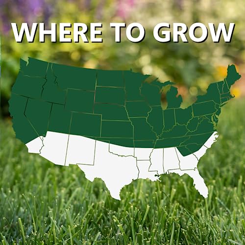 Dense Shade Grass Seed - Cool Season Lawn Seed (7 lb) E799896