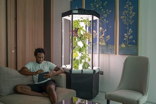 Indoor Hydroponic Growing System with LED Grow Lights and Grow Tent I692