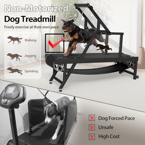 Dog Treadmill for Medium Dogs with Brake and Plastic Track F80860