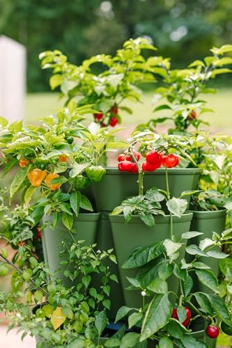 5 Tier Vertical Garden Planter with Internal Watering System P760