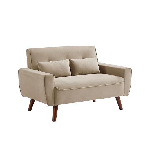 Mid Century Modern Loveseat Sofa with Wood Legs Z78752