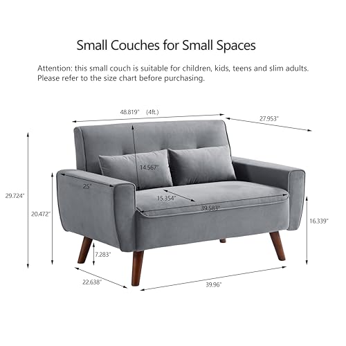 Mid Century Modern Loveseat Sofa with Wood Legs Z78752