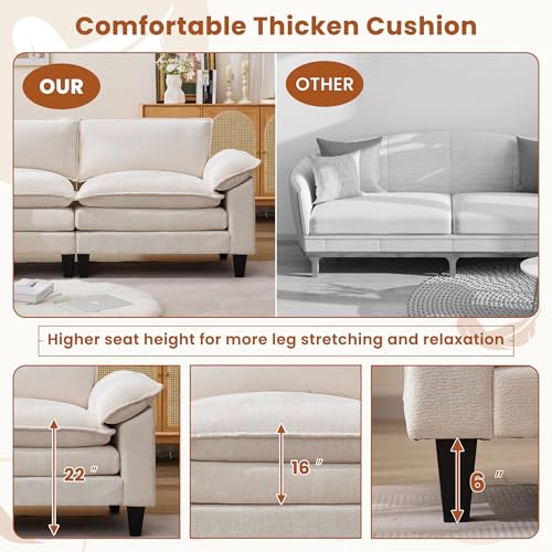 Cloud Loveseat Sofa with Chenille Fabric and Two Pillows Y3500
