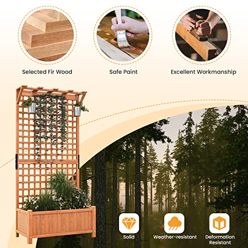Raised Garden Bed with Trellis & Roof, Wooden Planter Box for Outdoor C209623