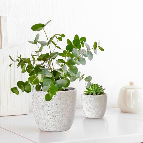 Ceramic Plant Pots Set of 3 with Drainage Hole, Indoor Outdoor D896728