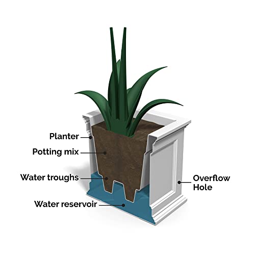 Rectangle Planter with Built-In Water Reservoir B876