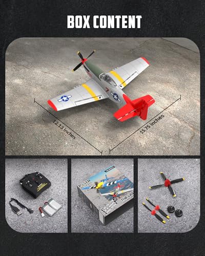 RC Plane 4 Channel Remote Control Fighter Airplane with 6-Axis Gyro, Easy to Fly for Beginners L2816