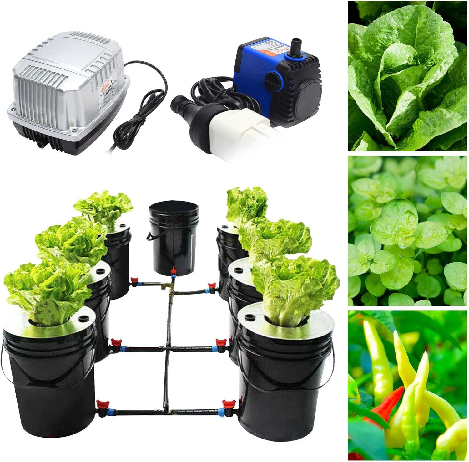 Hydroponics Growing System, 7 Buckets 5 Gallon Recirculating Deep Water Culture V1503