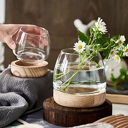 Clear Glass Bubble Vase with Wooden Base for Hydroponic Plants and Flower Arrangement G6771