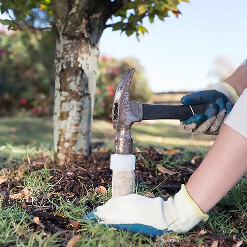 Fertilizer Spikes for Fruit and Citrus Trees, 15 Count R6904