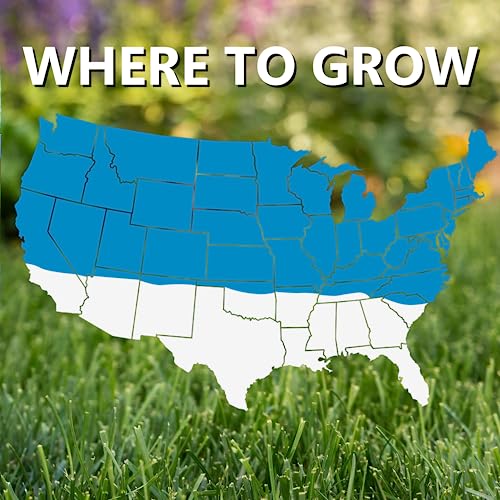 Blue Panther Kentucky Bluegrass Grass Seed - Cool Season Lawn Seed (25 lb) E69675