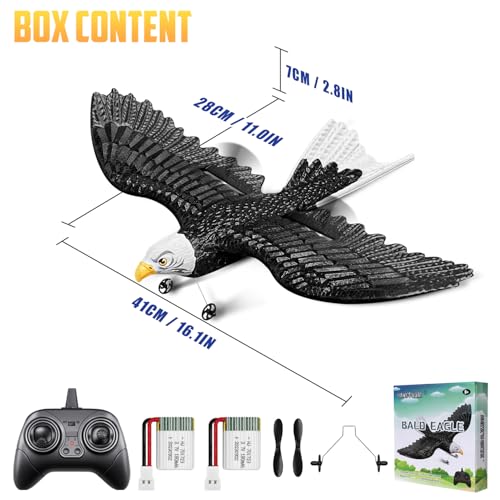 RC Eagle 2CH Remote Control Airplane for Kids & Beginners D1811