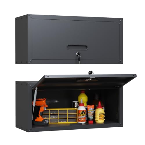Wall Cabinet with 2 Doors, Lockable, Adjustable Shelves, Heavy Duty Steel J4545