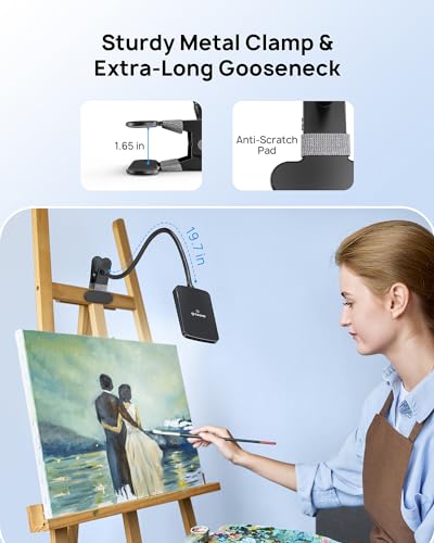 LED Desk Lamp with Clamp, Dimmable, Flexible Gooseneck V37343