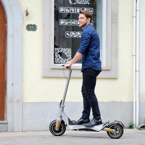 Electric Scooter for Adults, 850W Motor, 30 Miles Range, Folding with Wide Pneumatic Wheel L7670