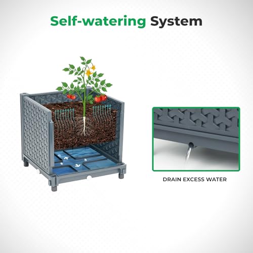 Raised Garden Bed with Tomato Cage and Trellis for Outdoor Planting L957