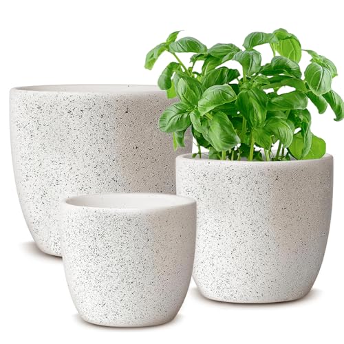 Ceramic Plant Pots Set of 3, 5.5/4.9/3.8 inch Planters with Drainage Hole, Flower Pots Outdoor Indoor, Modern Decorative Plant Pot for Lilies, Cacti, Succulents, Snakes, Bamboo, Speckled White