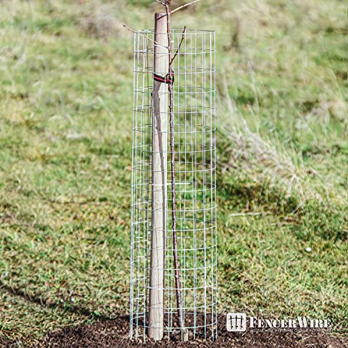 14 Gauge Galvanized Welded Wire Mesh 2x4 Inch Z530147