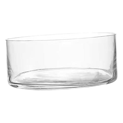 Glass Hydroponics Vase Glass Terrarium Decorative Glass Vase Hydroponic Fish Tank Small Fish Tanks Round Succulent Planter Air Planter Terrarium Glass Decorative Vase Round Planter