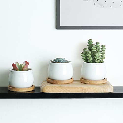 Mini Succulent Pots White with Bamboo Trays, Ceramic Planter Set of 6 W2815