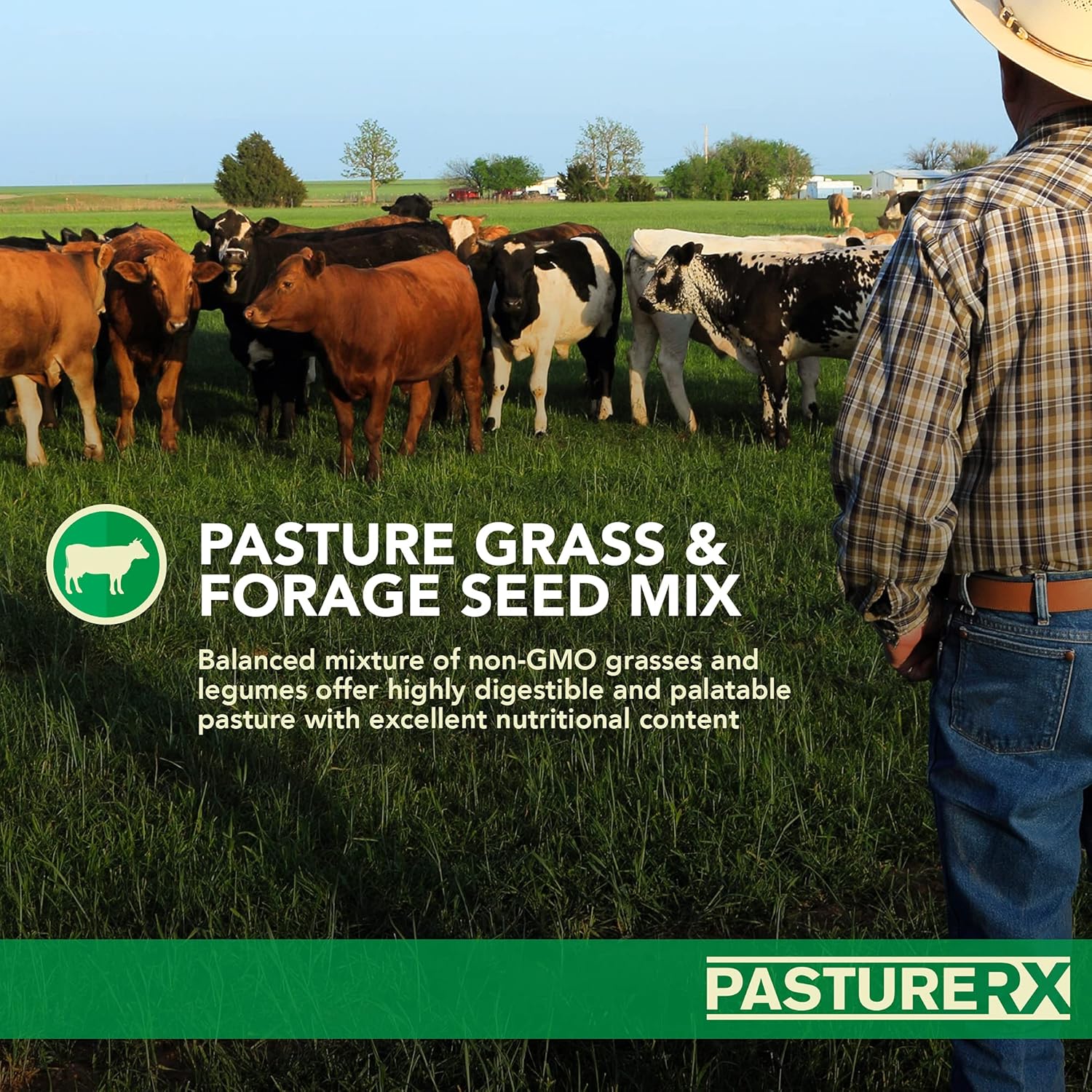 Pasture Grass and Forage Seed Mix, 23 lbs. I33857