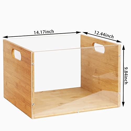 Bamboo & Acrylic Vinyl Record Storage Crate with Handle G916