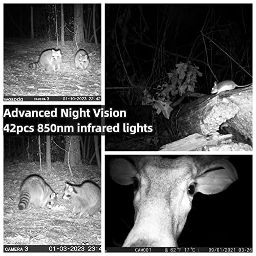 24MP 1080P Waterproof Trail Camera 2 Pack with Night Vision C411425