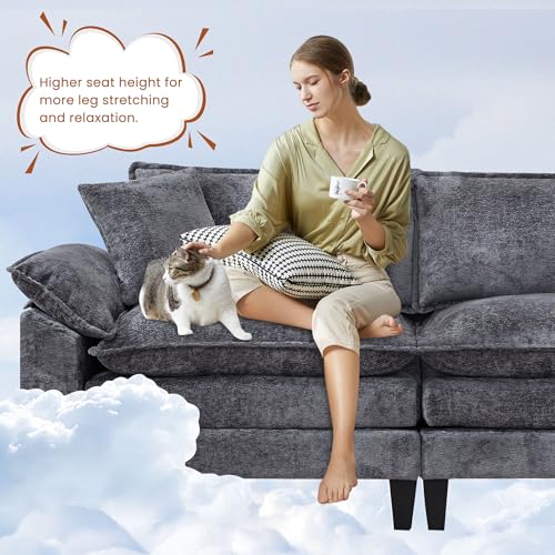 Cloud Loveseat Sofa with Chenille Fabric and Two Pillows Y3500