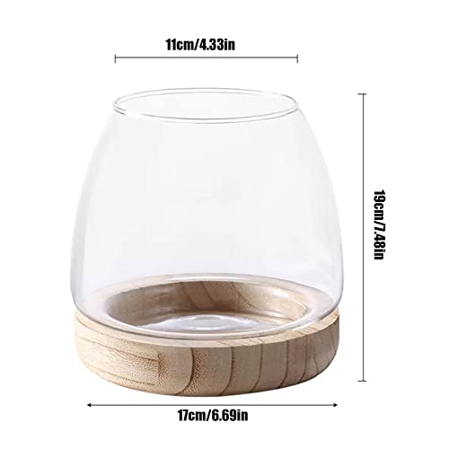 Clear Glass Bubble Vase with Wooden Base for Hydroponic Plants and Flower Arrangement G6771