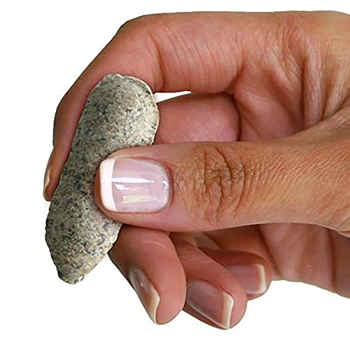 Fertilizer Spikes for Fruit and Citrus Plants and Trees, 6 Count M382