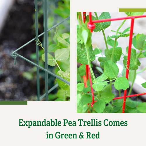 Expandable Tall Pea Trellis for Climbing Plants, Steel Garden Support, 9'8" L x 37" H H309