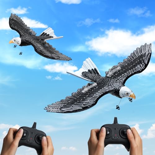 RC Airplane, 2.4GHz 2 Channel Remote Control Aircraft with 6-Axis Gyro, Red J366