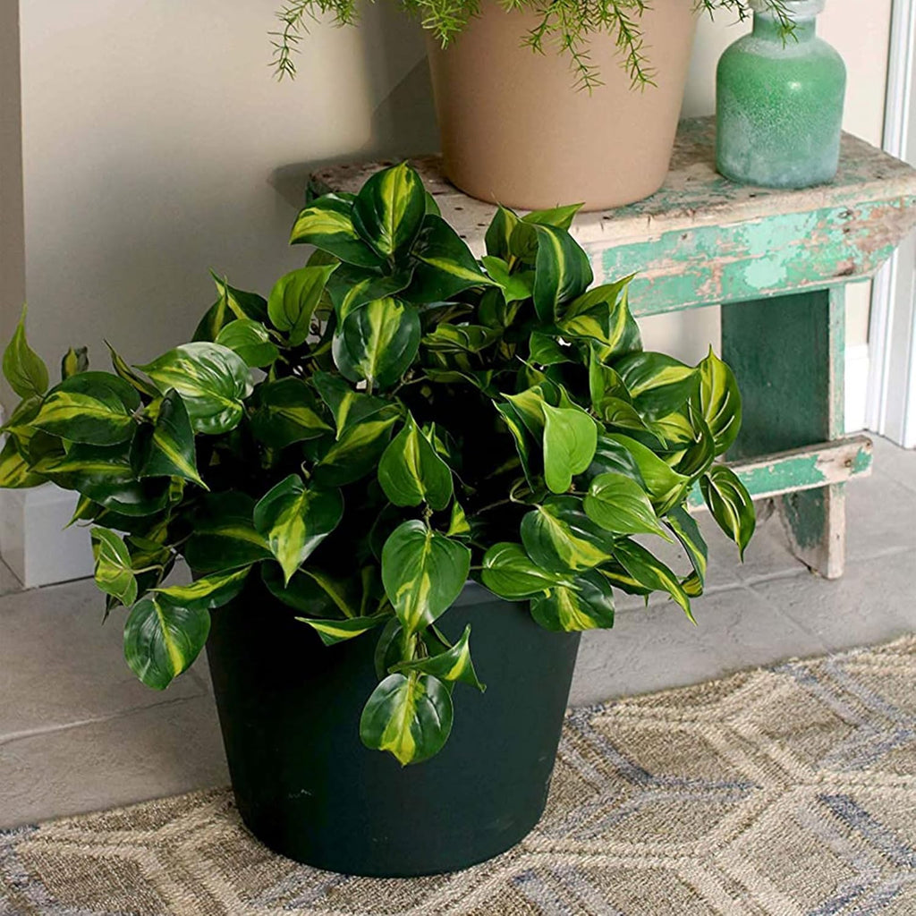 24 Inch Plastic Flower Pot with Drainage Holes, Slate Blue (6 Pack) X627444