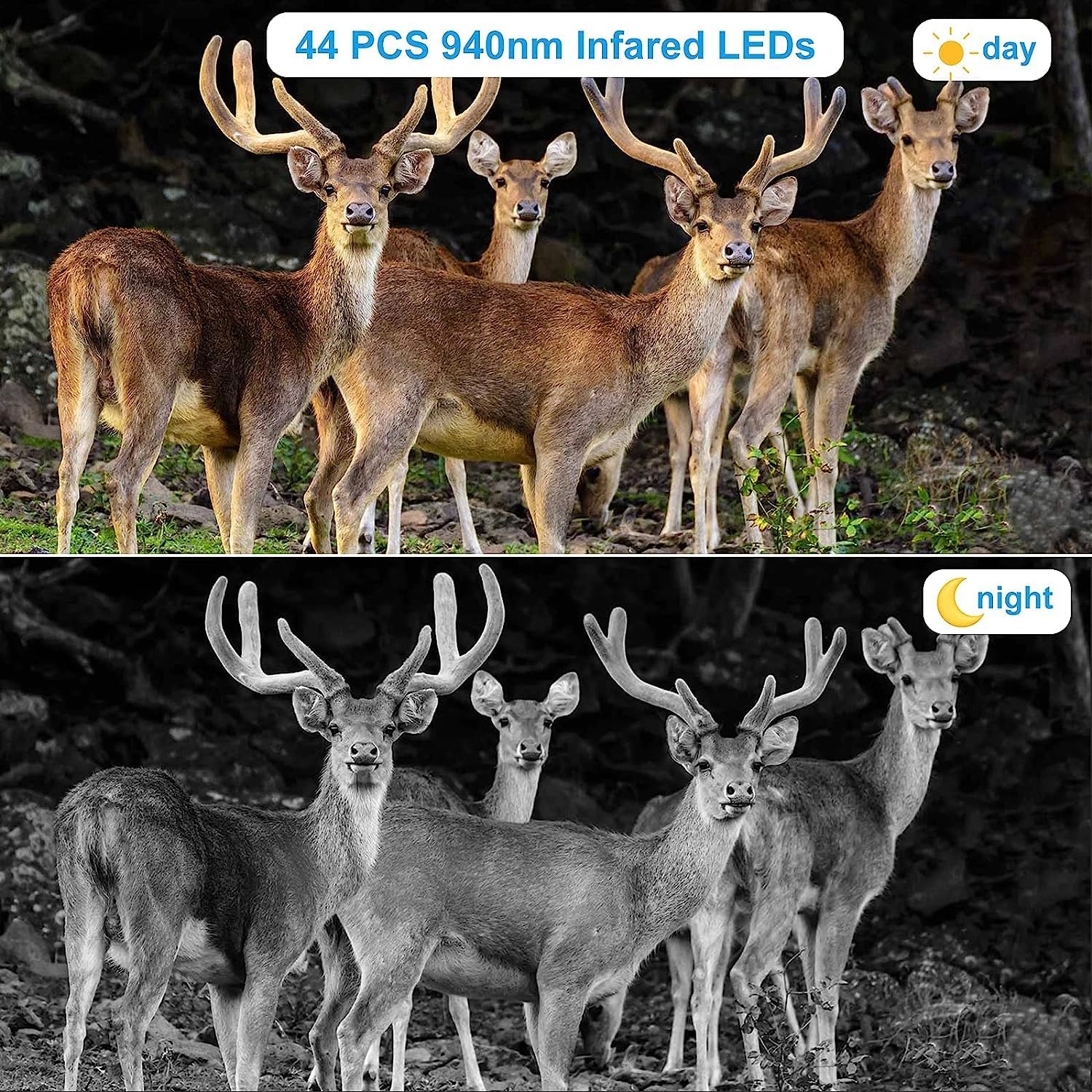 Trail Camera with Night Vision, Motion Activated, Waterproof B4862