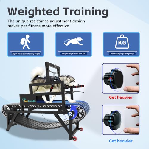 Dog Treadmill with Brake and Resistance Adjustment for Large and Medium Dogs P470