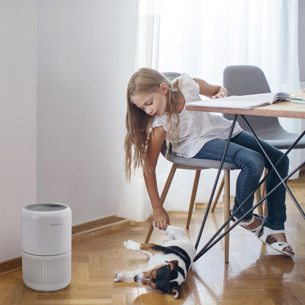 White Air Purifier with HEPA Filters for Large Rooms D2362
