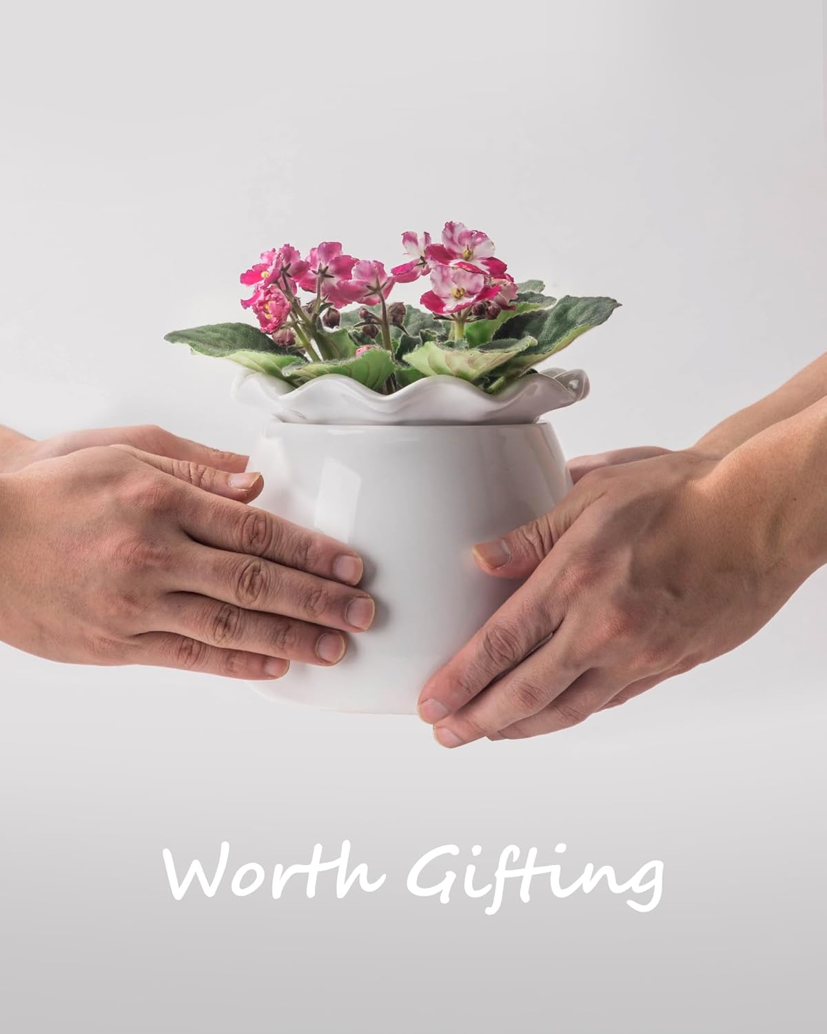 Self-Watering Ceramic Plant Pot for Indoor Plants B167