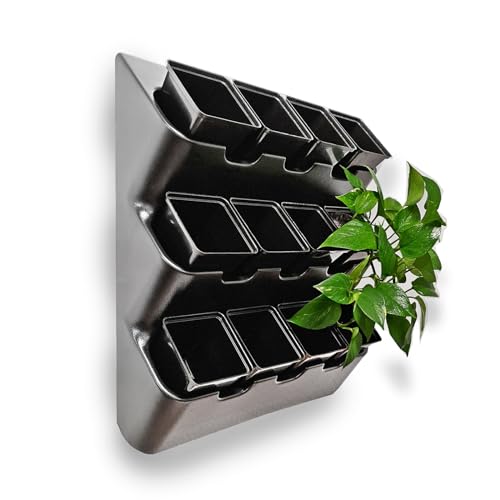 BOXSAND-12 (24"x26") Living Wall - Wall Planter, Vertical Garden for 12 Plants, Indoor/Outdoor, 2 Screws Install (White) with Black Square Pots