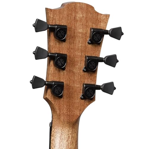 Dreadnought Bevel Gloss Acoustic Guitar F115