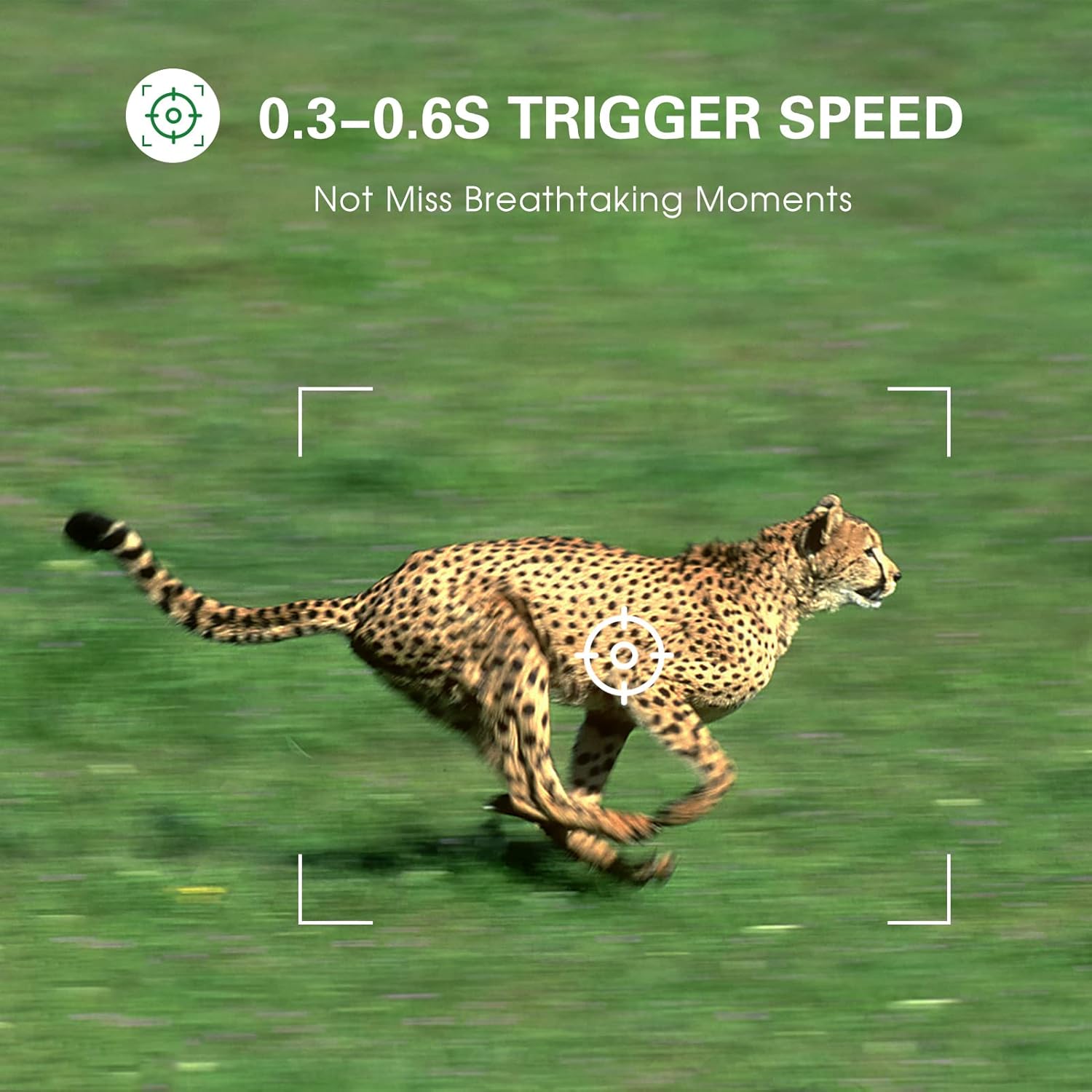 36MP 1080P Trail Camera with Night Vision and Motion Activation U53280