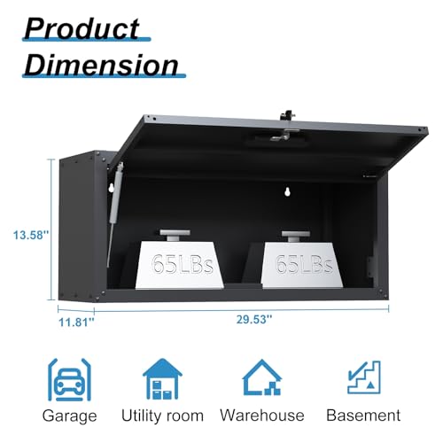 Wall Cabinet with 2 Doors, Lockable, Adjustable Shelves, Heavy Duty Steel J4545