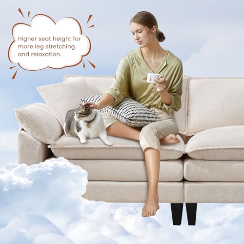 Cloud Loveseat Sofa with Chenille Fabric and Two Pillows Y3500