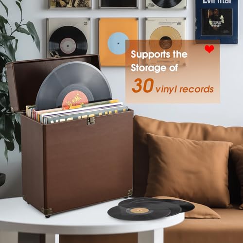 Vinyl Record Storage Box Holds 30 Albums T146