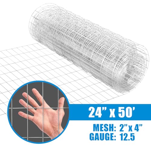 Galvanized Welded Wire Mesh 2x4 Inch D512